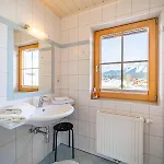 Apartment Braunhofer Schladming