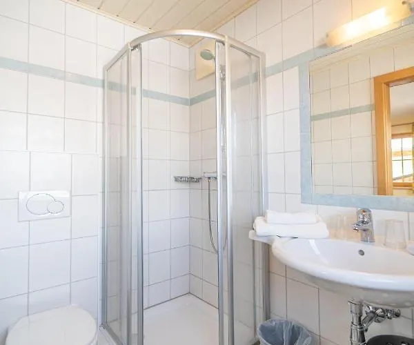 Braunhofer Appartement Schladming